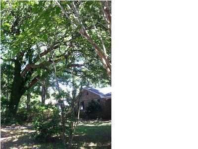 243 Molasses Ln, Mount Pleasant, SC 29464
