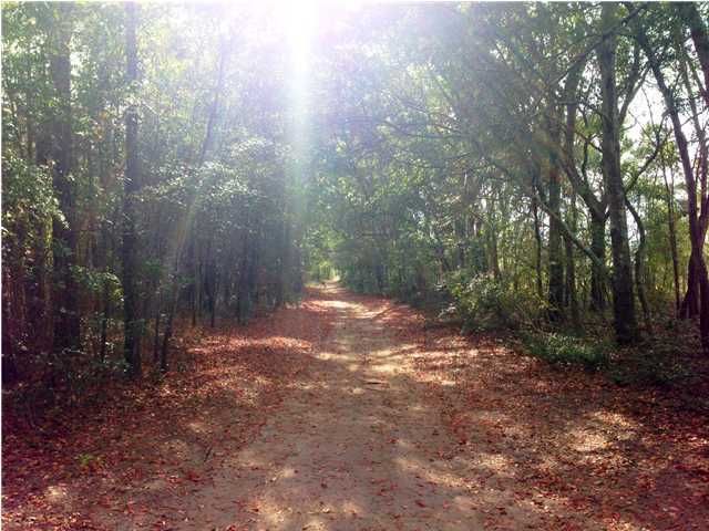 1305 Scotts Creek Cir, Mount Pleasant, SC 29464