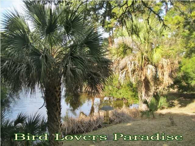 3922 Lybrand St, Edisto Beach, SC 29438