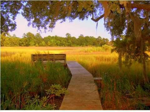 1504 S Pinebark Ln, Charleston, SC 29407