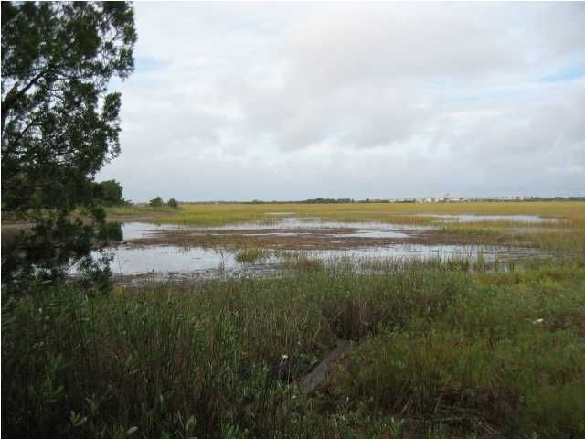 2672 Goldbug Ave, Sullivans Island, SC 29482