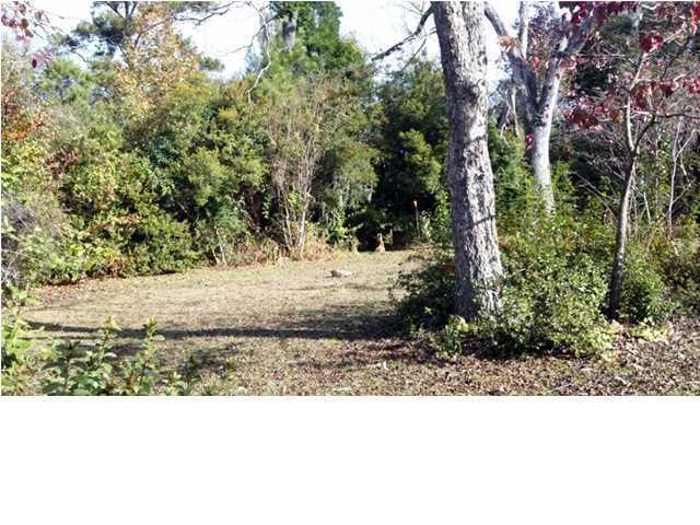 203 N Live Oak Dr, Moncks Corner, SC 29461