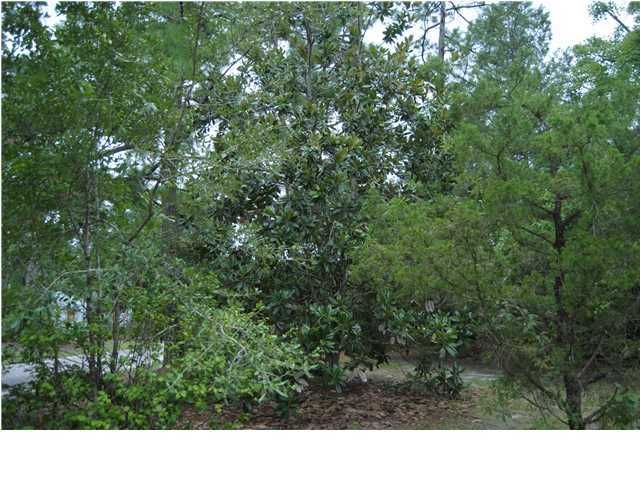 111 Berkeley Ct, Saint Stephen, SC 29479