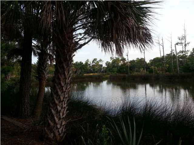 1413 Pointe Bluff Ct, Mount Pleasant, SC 29466