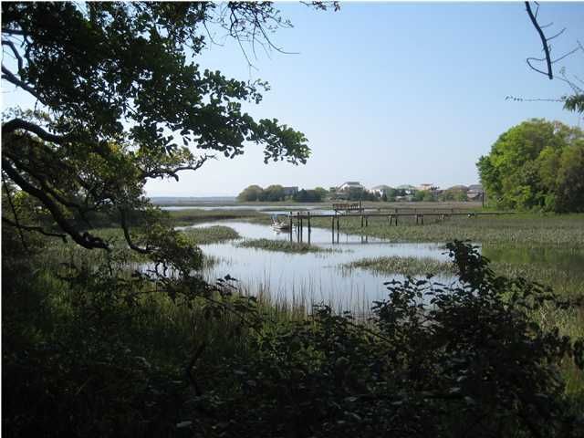 1339 Salt Marsh Cv, Charleston, SC 29412
