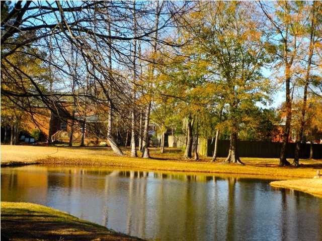 705 Hamlet Cir, Goose Creek, SC 29445