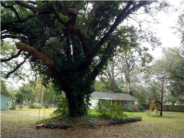 2361 N Edenvale Rd, Johns Island, SC 29455