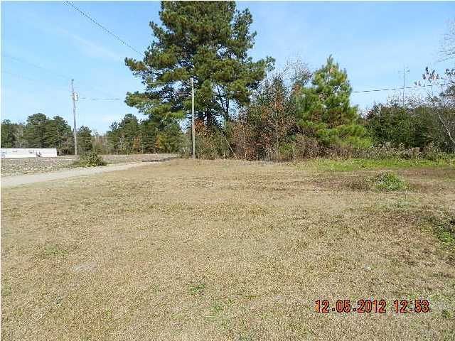 217 Dantzler Rd, Harleyville, SC 29448