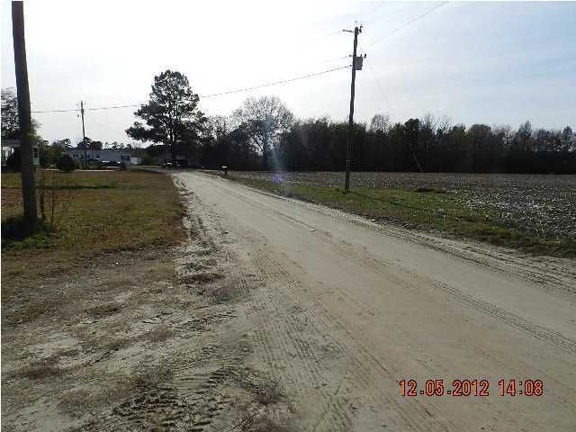 217 Dantzler Rd, Harleyville, SC 29448