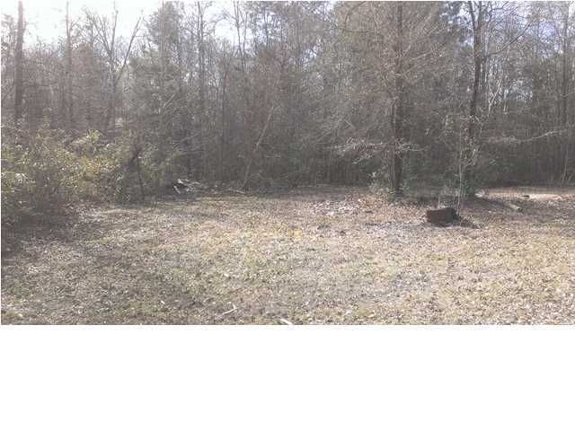 161 Creek Ln, Reevesville, SC 29471