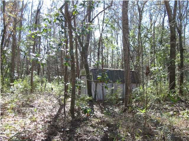 6443 Highway 162, Hollywood, SC 29449