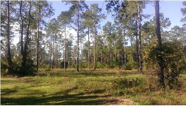 1526 Zion Rd, Dorchester, SC 29437