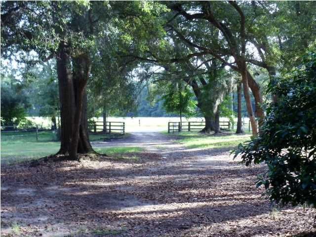 6074 Old Jacksonboro Rd, Ravenel, SC 29470