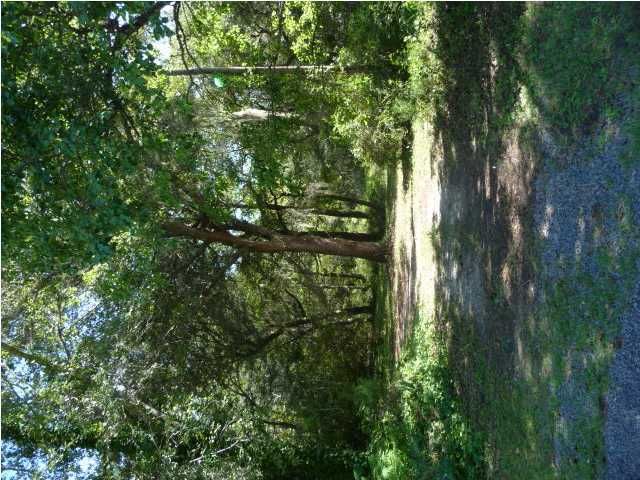 345 Mcclellan Ave, Mcclellanville, SC 29458