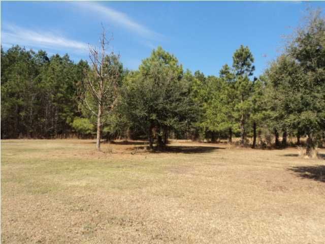 215 Lou Elec Ln, Moncks Corner, SC 29461
