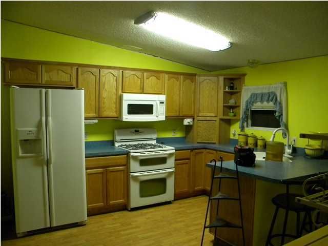 153 Autumn Run Rd, Saint George, SC 29477