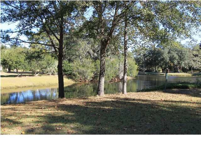 6312 Wend Swept Ln, Ravenel, SC 29470