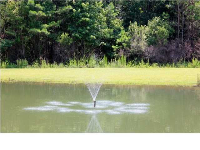149 Tranquil Way, Bonneau, SC 29431