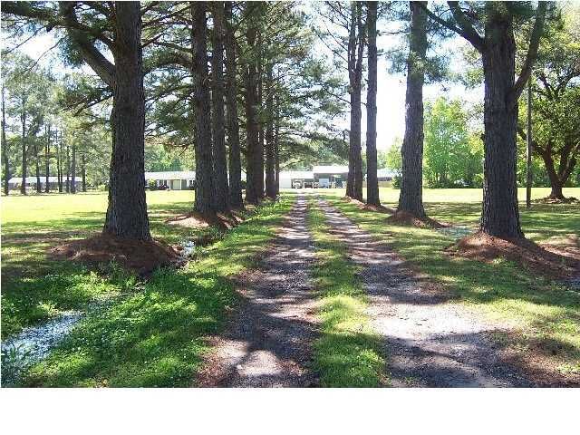4643 Parishville Rd, Meggett, SC 29449