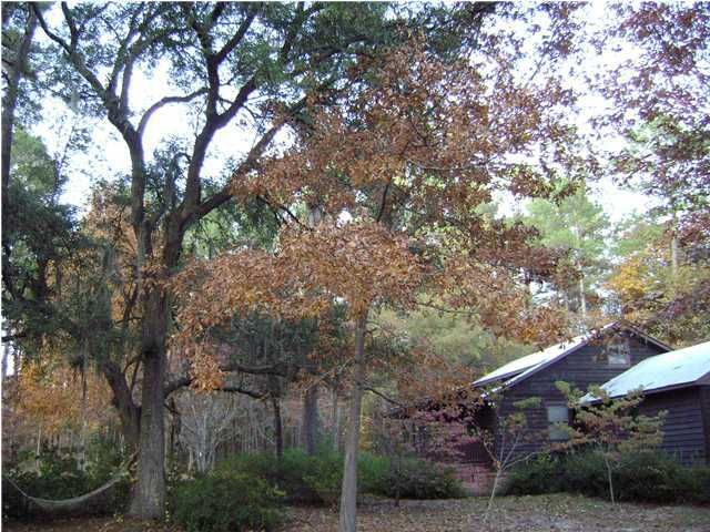 4888 Peirce Rd, Ridgeville, SC 29472