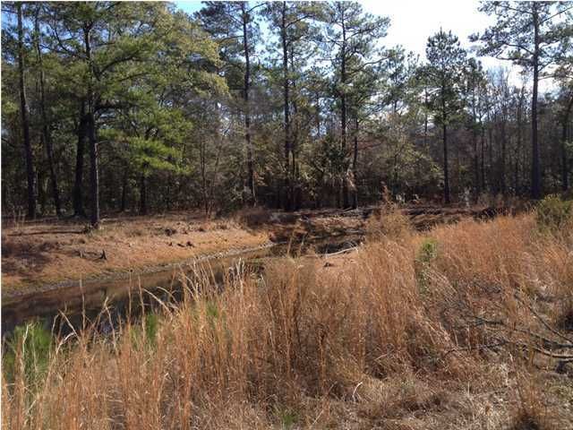 115 Bamberg Cir, Cainhoy, SC 29492