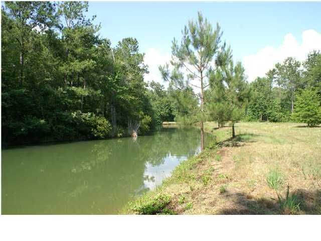 384 Recluse Ln, Saint Stephen, SC 29479