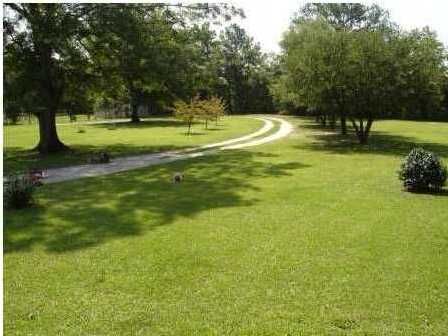 384 Recluse Ln, Saint Stephen, SC 29479