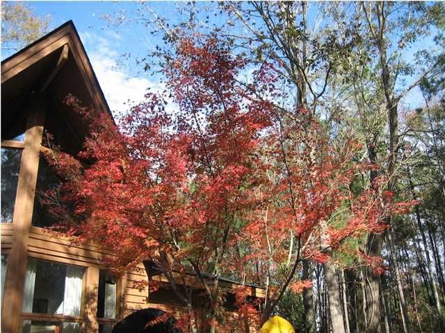 4671 Lazy Creek Ln, Wadmalaw Island, SC 29487