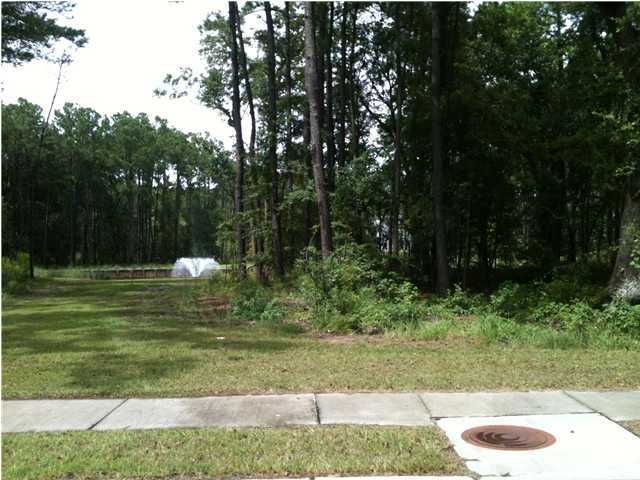 329 Nevis Trl, Mount Pleasant, SC 29464