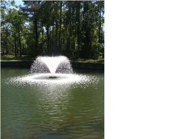 329 Nevis Trl, Mount Pleasant, SC 29464