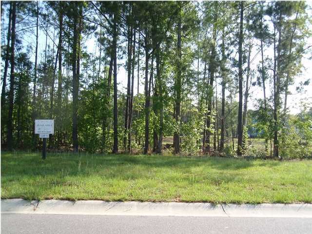 1003 Jervey Point Rd, Cainhoy, SC 29492