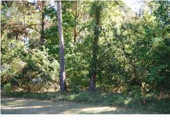 2513 Charter Oaks Dr, Mount Pleasant, SC 29466