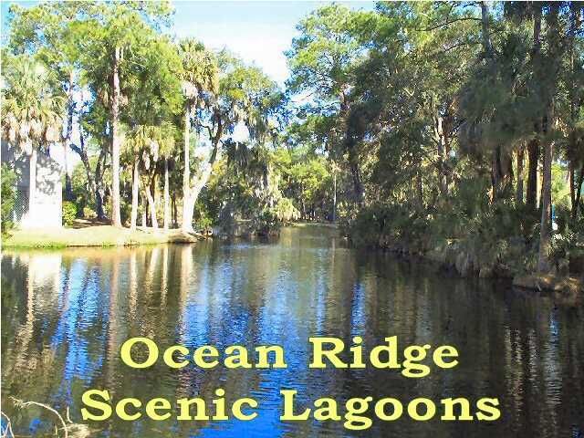 7 Magnolia Ln, Edisto Beach, SC 29438
