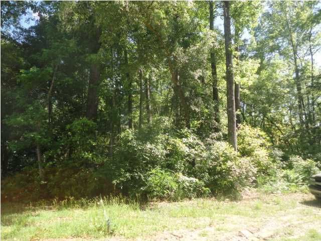 3 Ellison Way, Summerville, SC 29483