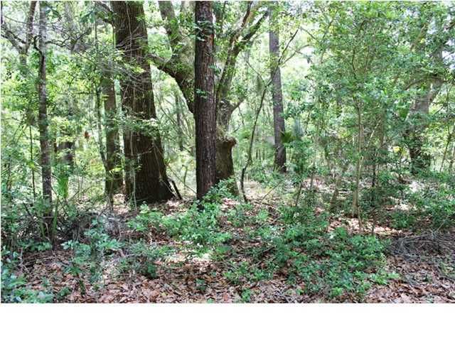 2711 Old Oak Walk, Johns Island, SC 29455