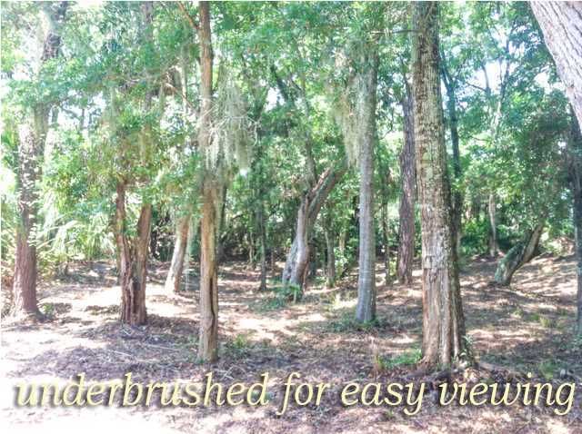 A-11 Oristo Ridge Rd, Edisto Beach, SC 29438