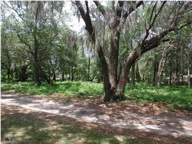 783 Canopy Cv, Charleston, SC 29412