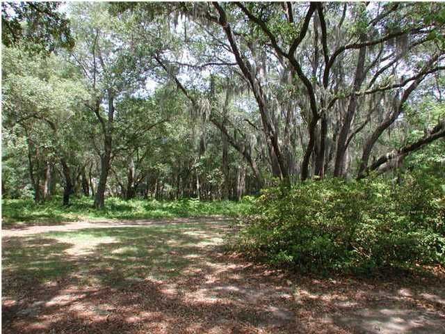 776 Canopy Cv, Charleston, SC 29412