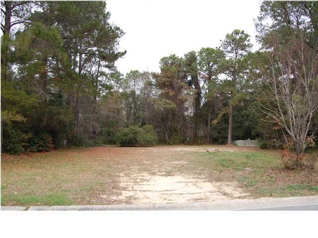 1187 Moss Bluff Rd, Mount Pleasant, SC 29464