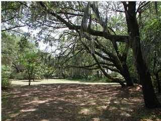 705 Canopy Cv, Charleston, SC 29412