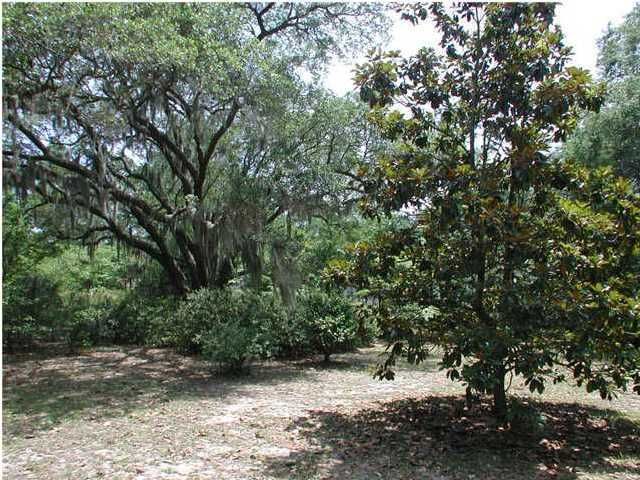 705 Canopy Cv, Charleston, SC 29412