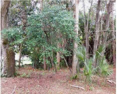 316 E Hudson Ave, Folly Beach, SC 29439