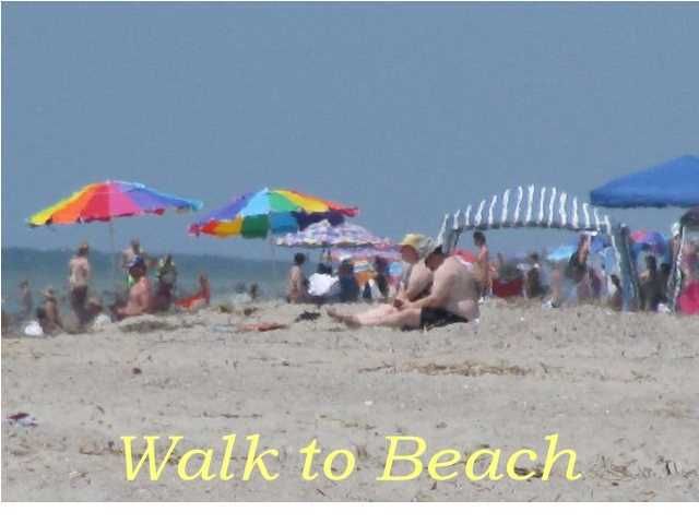 126 Jungle Rd, Edisto Beach, SC 29438