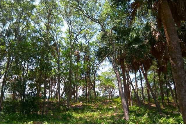 137 Jungle Rd, Edisto Beach, SC 29438
