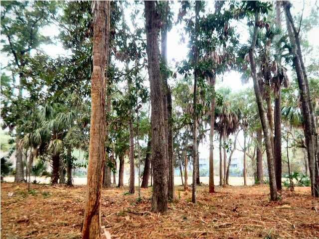6 Gun Bluff Rd, Edisto Beach, SC 29438