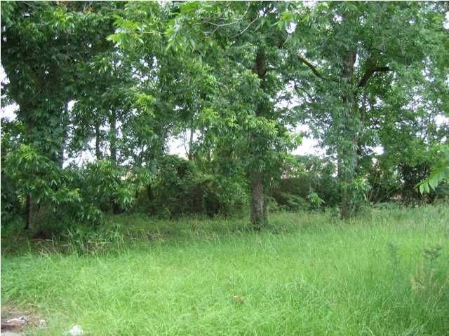 5 Nitsa St, Johns Island, SC 29455