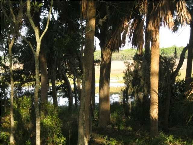 133 Jungle Rd, Edisto Beach, SC 29438
