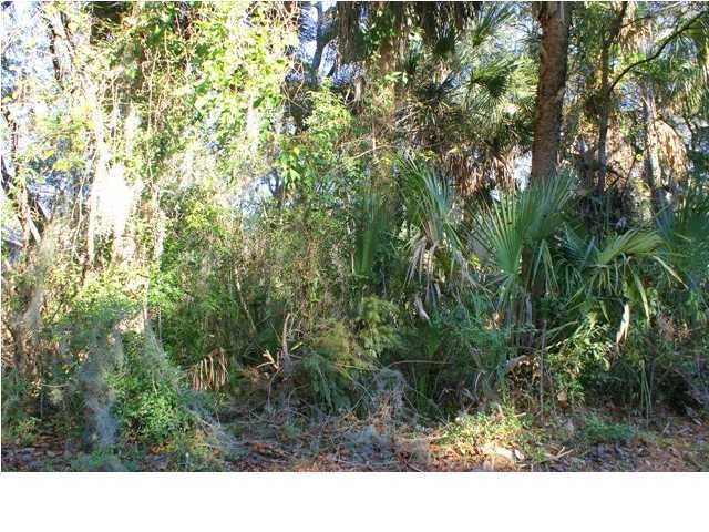 2722 Old Forest Dr, Seabrook Island, SC 29455