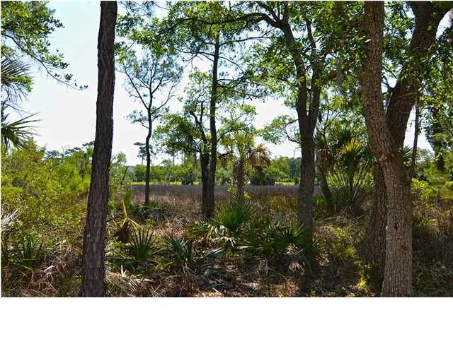 52 Watroo Point, Charleston, SC 29492