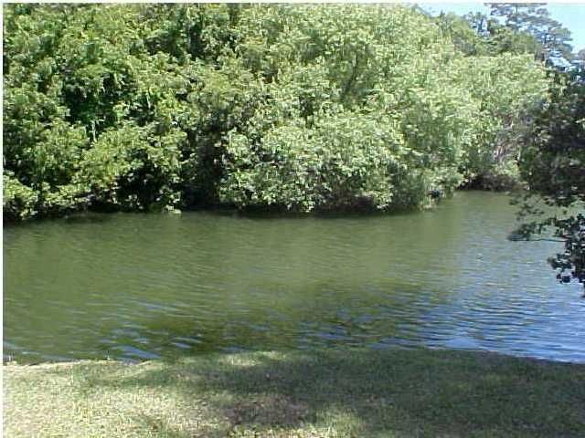 1364 Woodlock Rd, Mount Pleasant, SC 29464